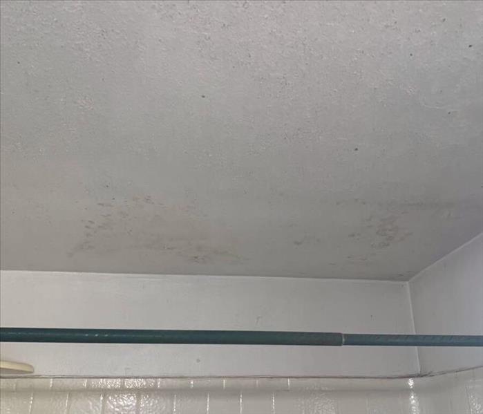 White ceiling in bathroom with mold