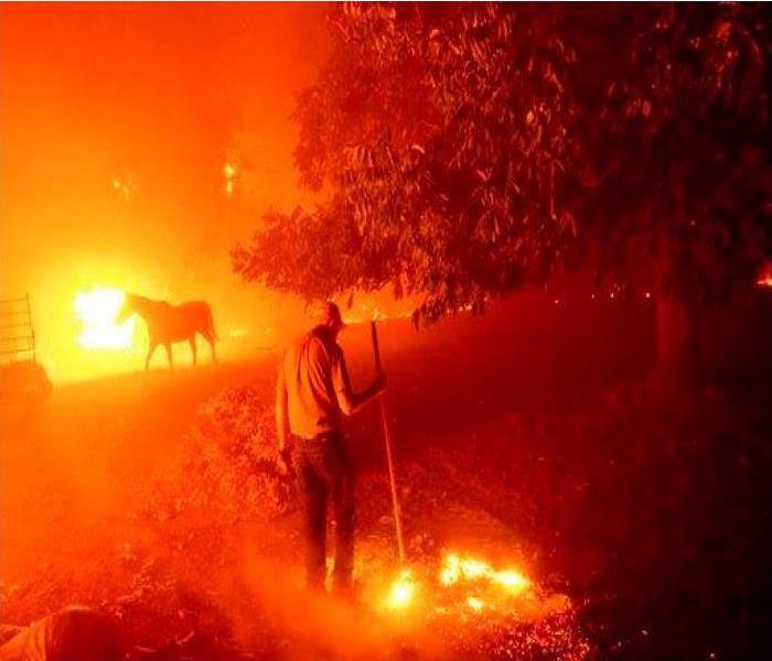 Man, animal and wildfire